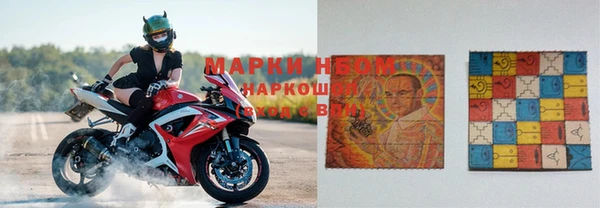 ГАЛЛЮЦИНОГЕННЫЕ ГРИБЫ Баксан