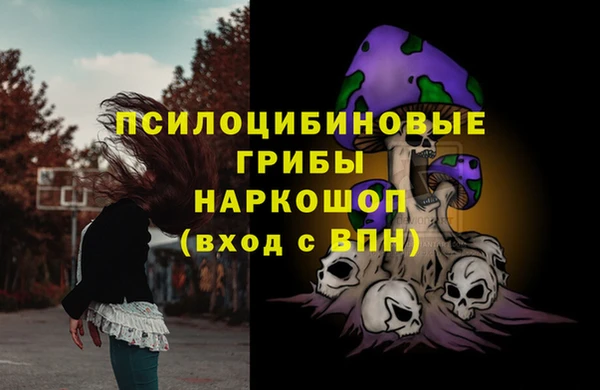 ГАЛЛЮЦИНОГЕННЫЕ ГРИБЫ Баксан
