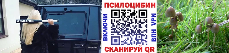 Галлюциногенные грибы Psilocybine cubensis  где найти   Джанкой 