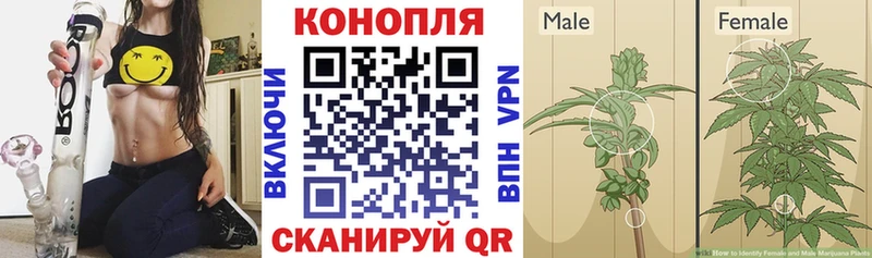 Шишки марихуана гибрид Джанкой